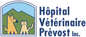 Hôpital Vétérinaire Prévost: Votre vétérinaire à Prévost